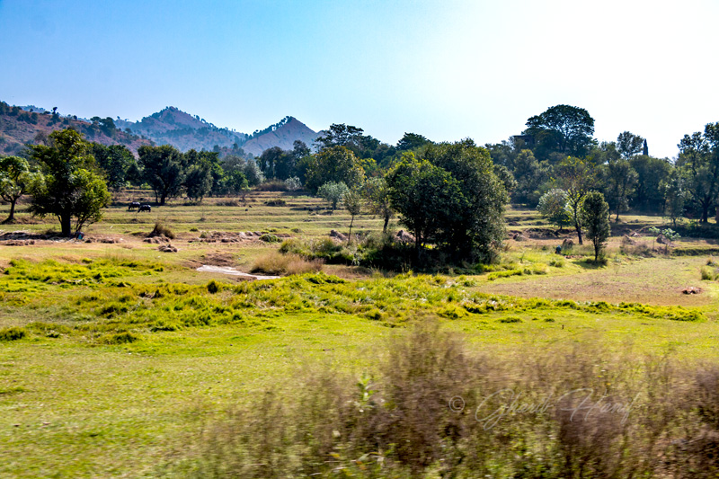 Village