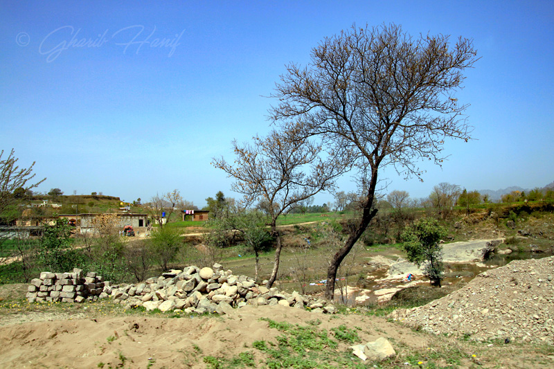 Village