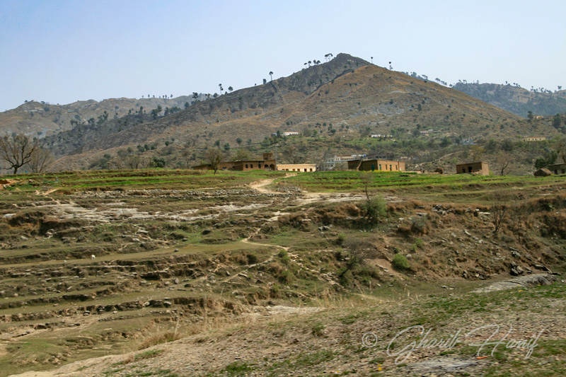 Village