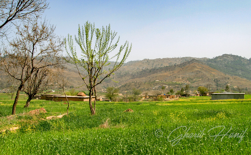 Village