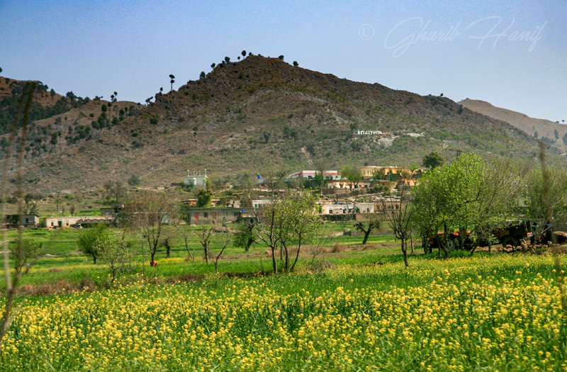 Village