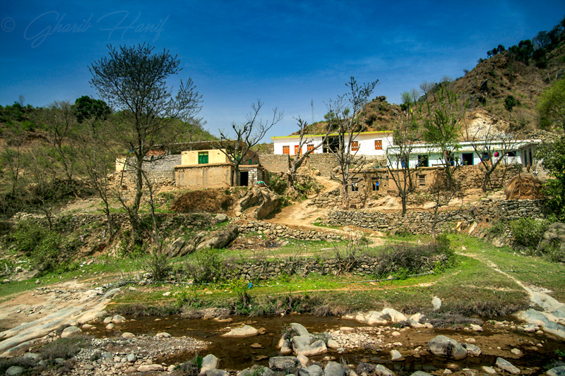 Houses