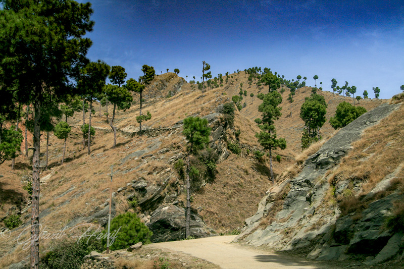 Road