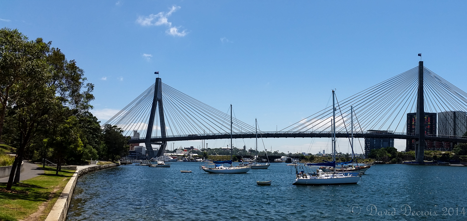 ANZAC Bridge from Blackwattle Bay