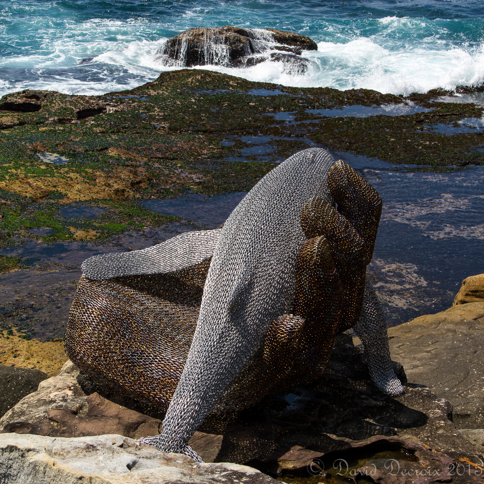 Sculpture by the Sea