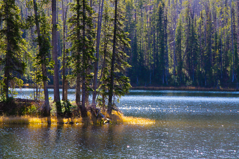 Sylvan Lake