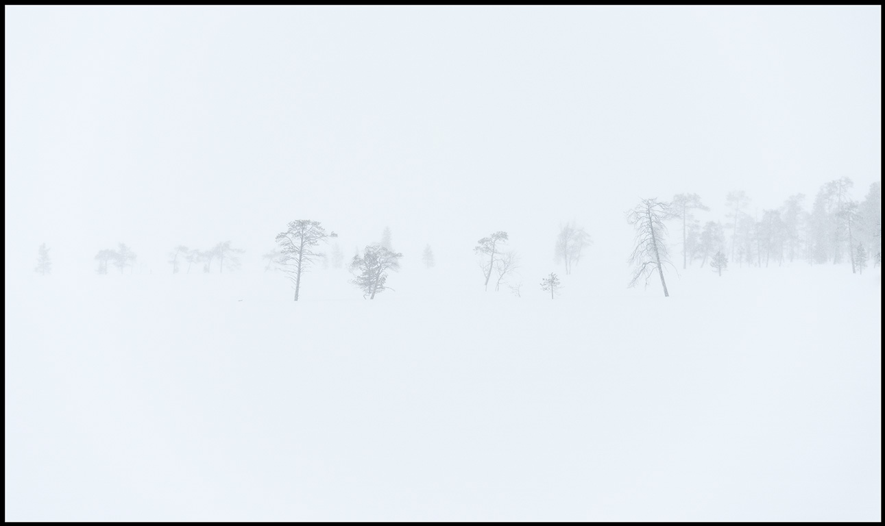Heavy snowfall on a bog in northern Finland