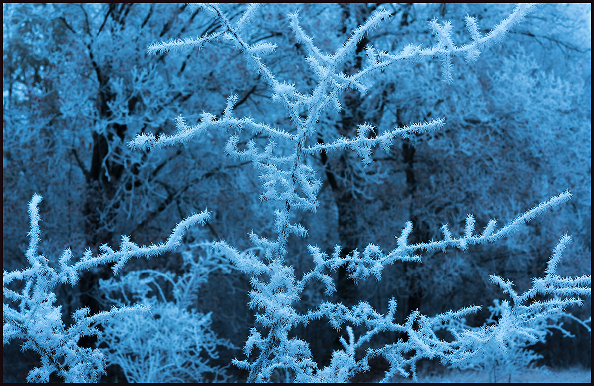 A frosty late afternoon - Vxj