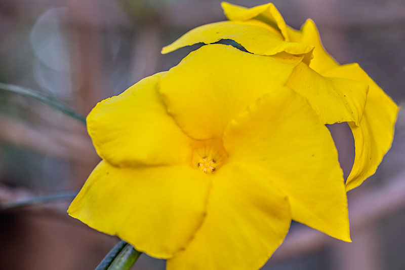 IMGL0902.jpg