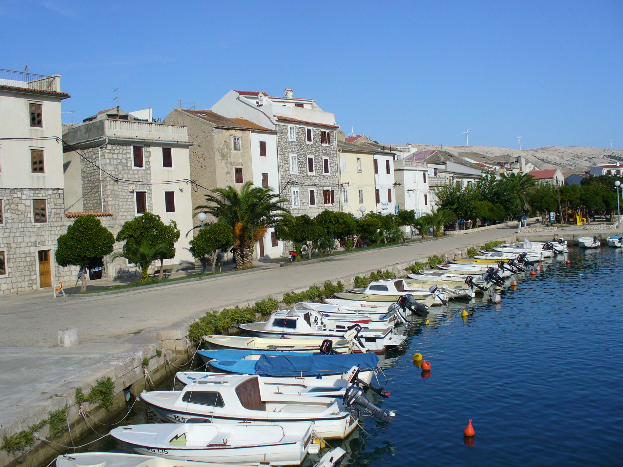 P1010868 (2).JPG