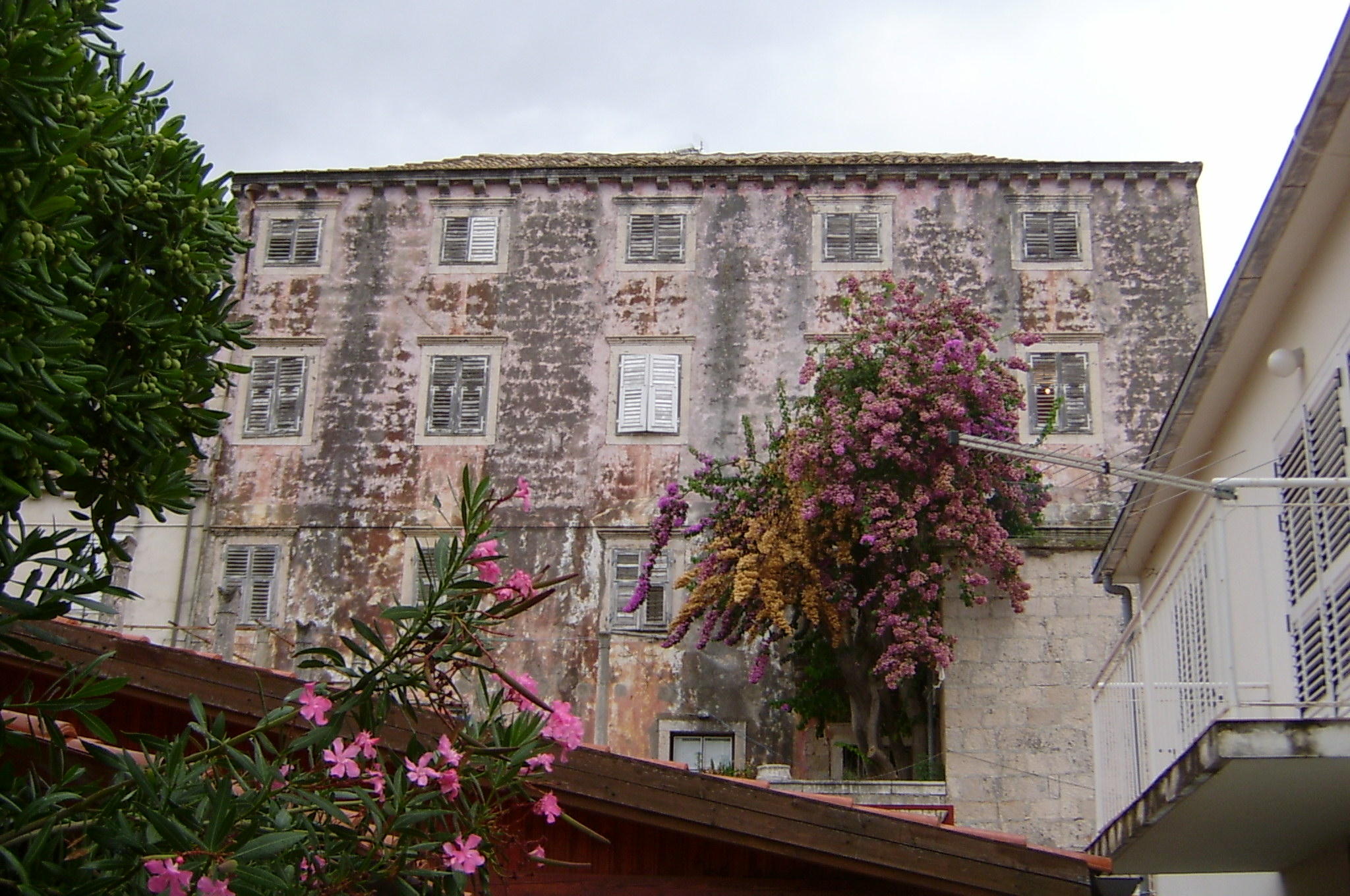 S3600212.JPG