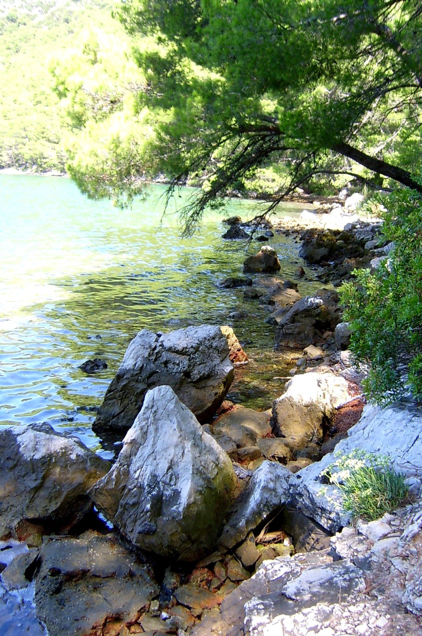 S3601848m.jpg