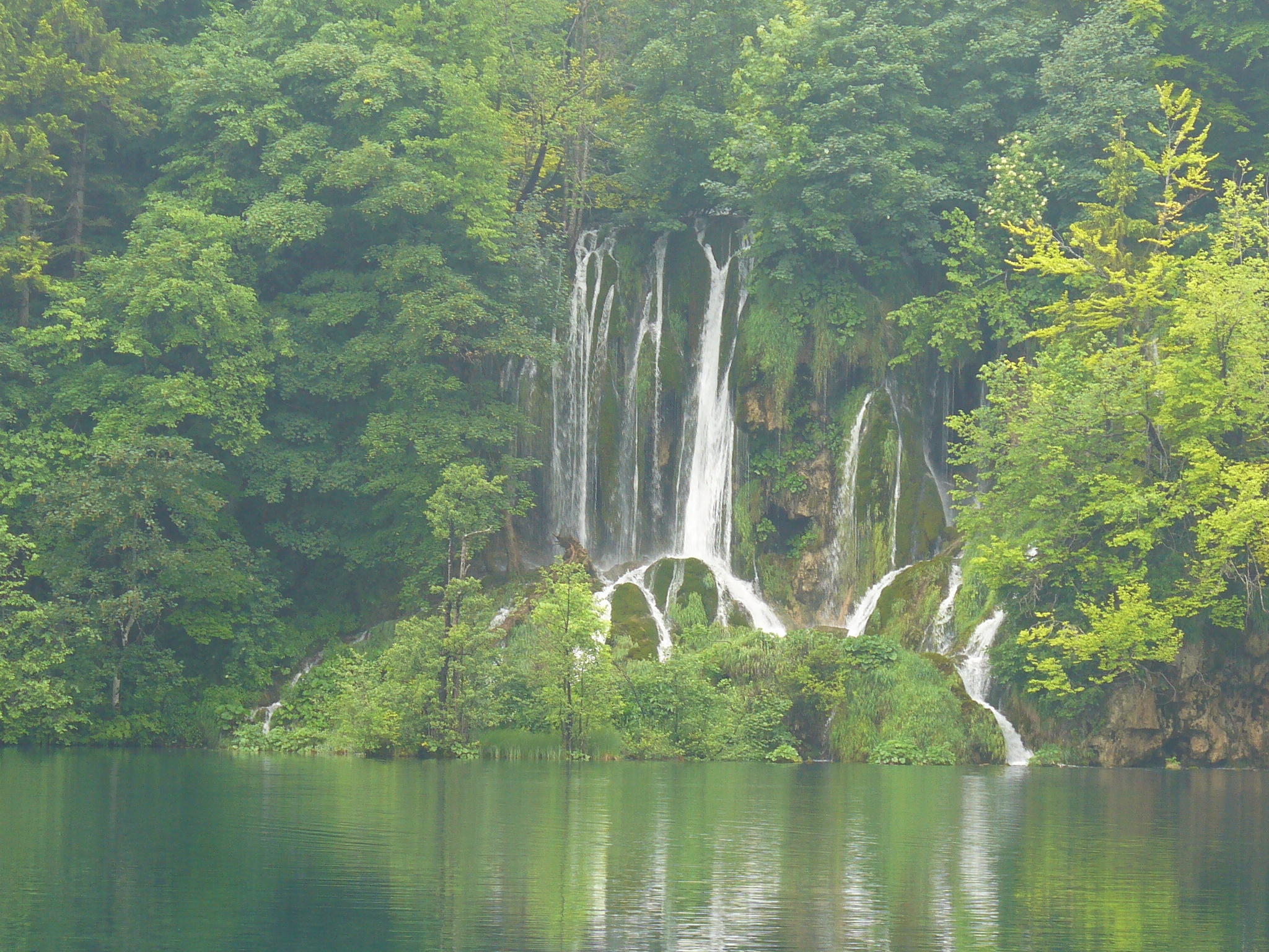 P1000777.JPG