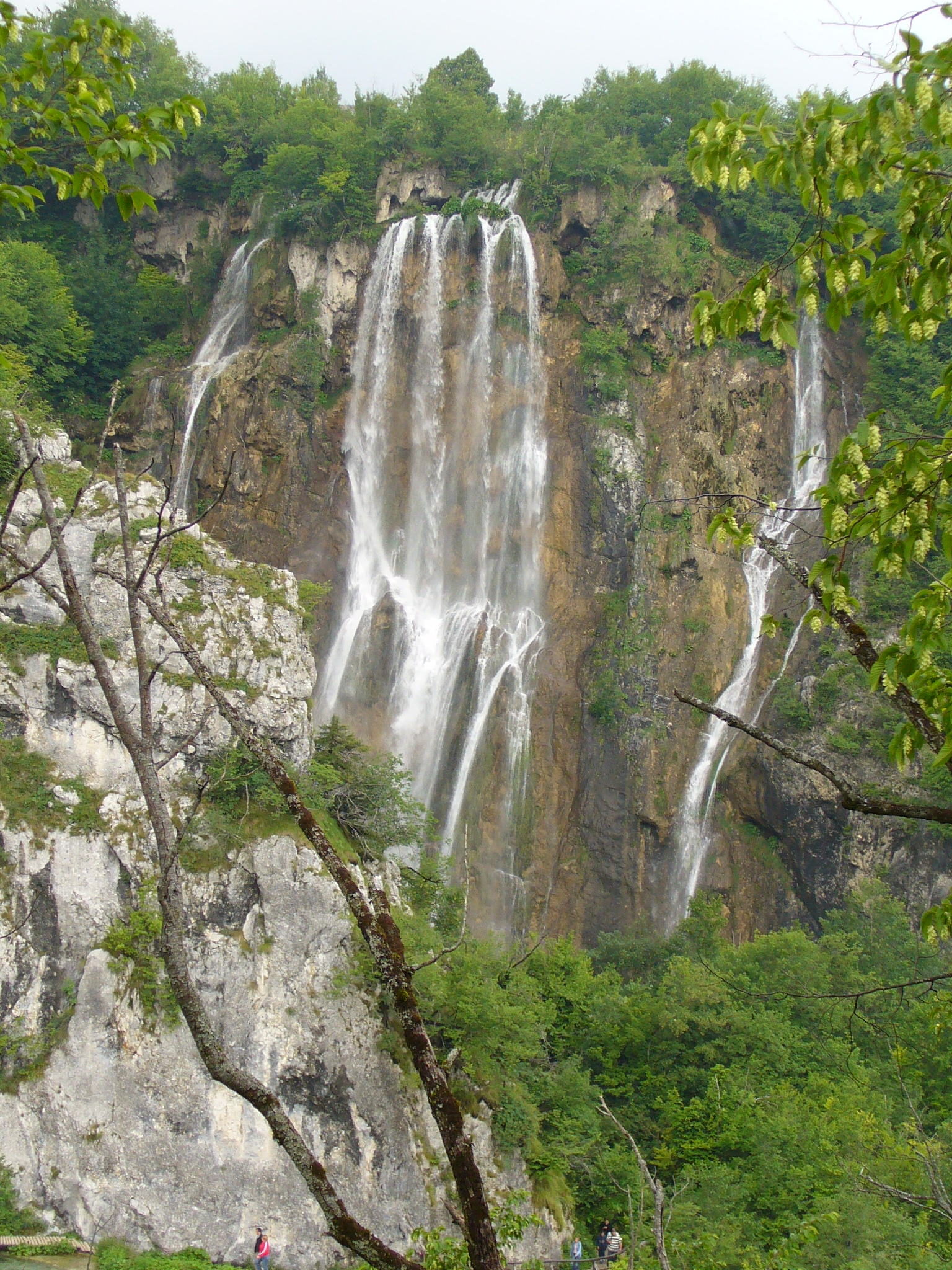 P1000895.JPG