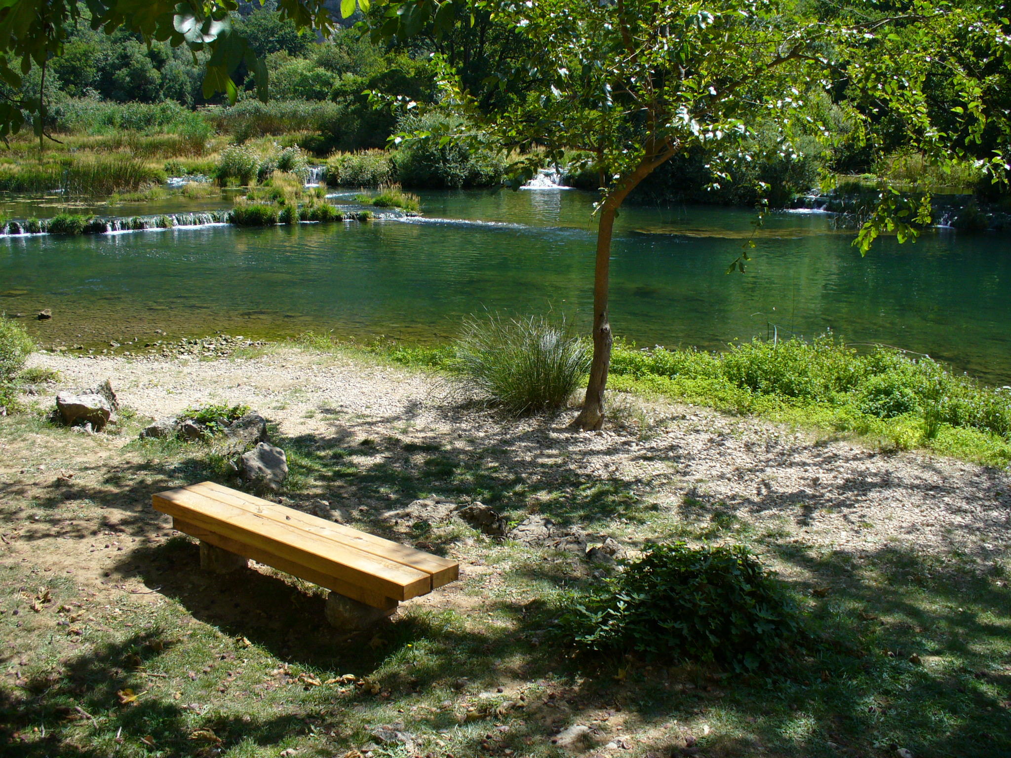 P1010560.JPG