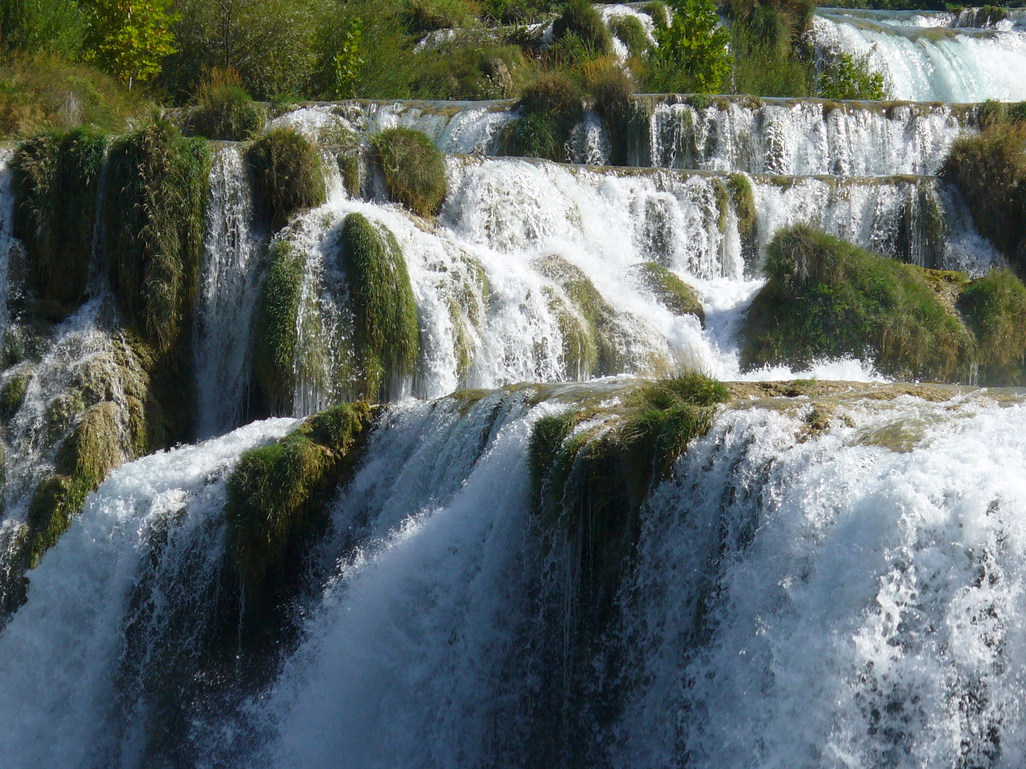 P1010615.JPG