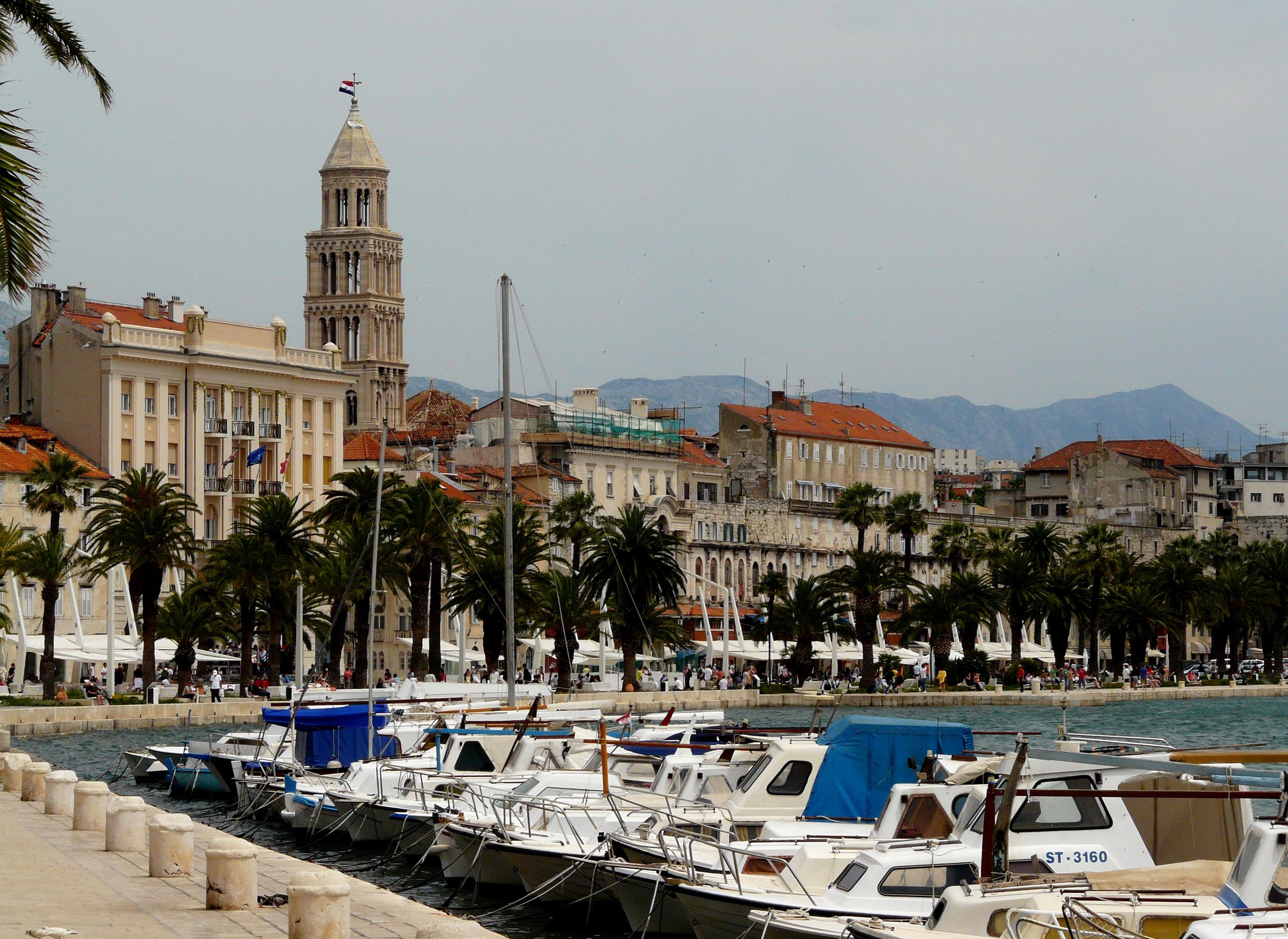 P1060515m.jpg