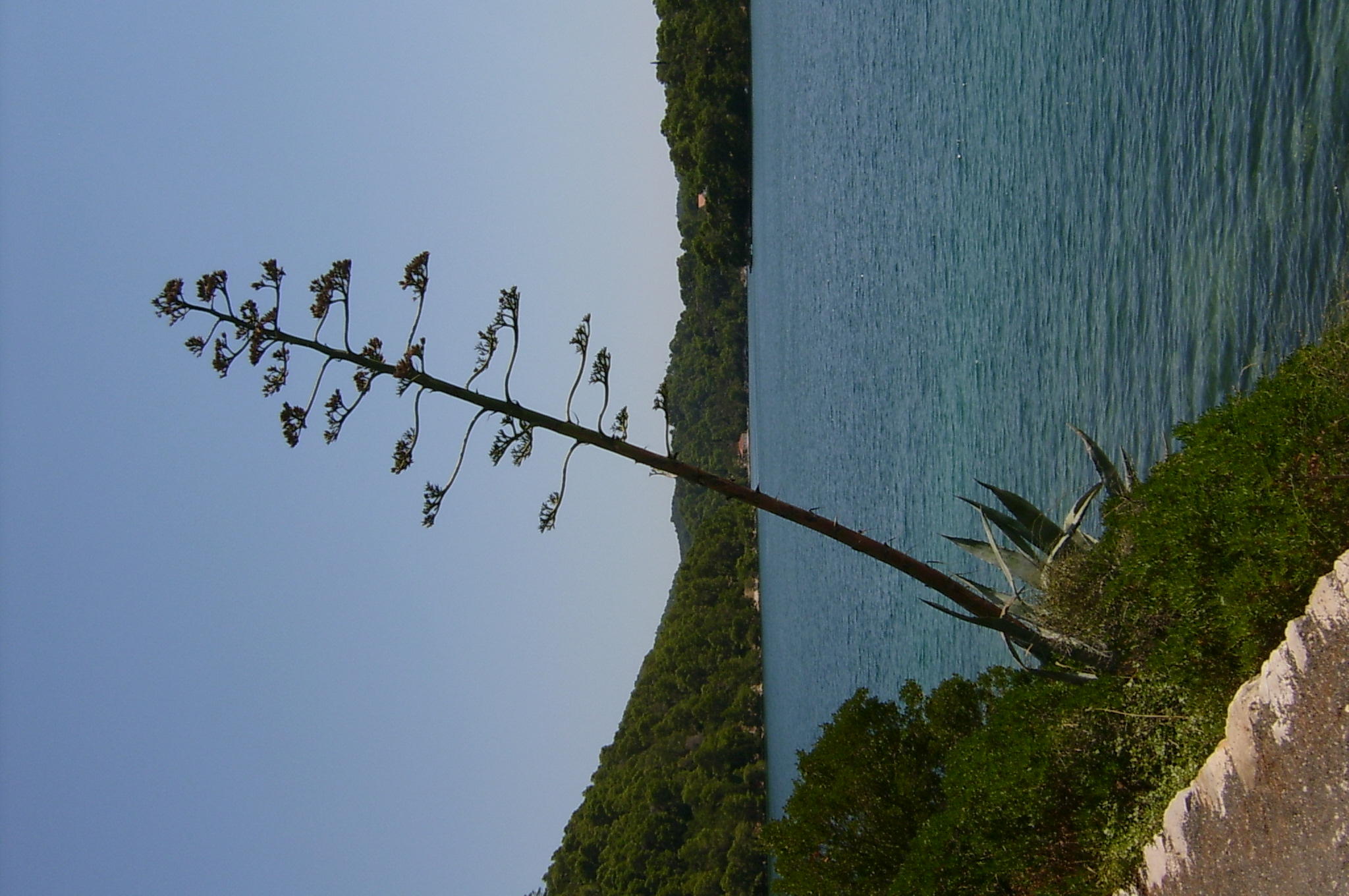 S3601859.JPG