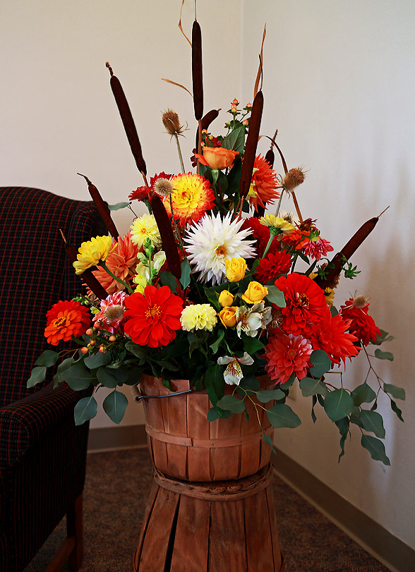IMG_1192 Flowers