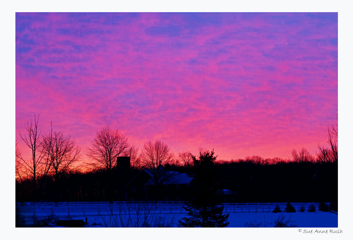 CR2_9098  Good Morning