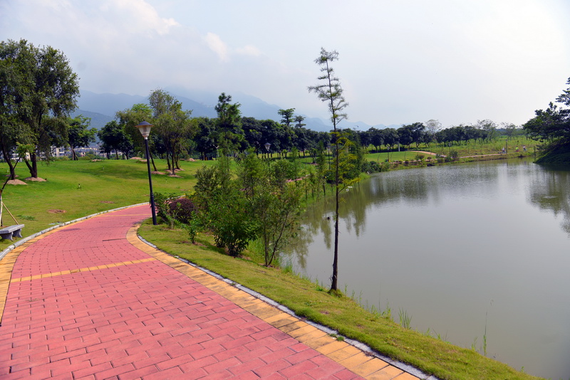D60_0852.JPG