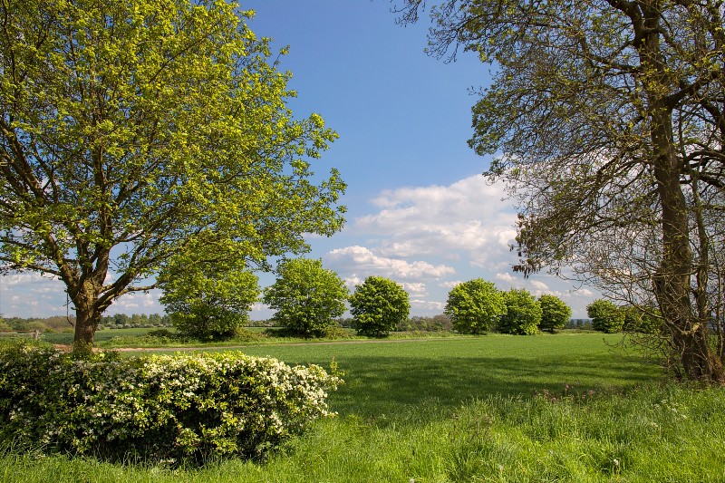 2014-05-14_7613.jpg