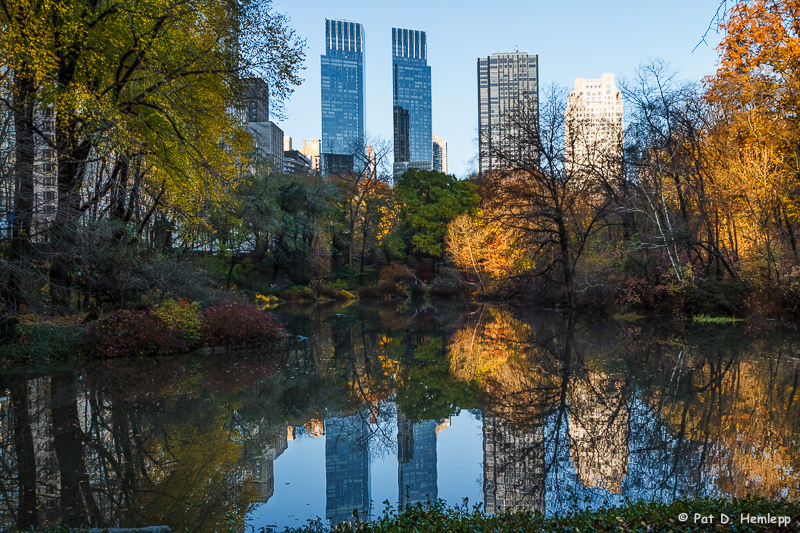 Fall in New York