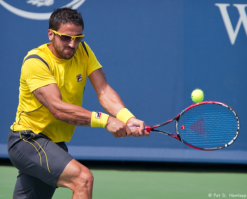 Janko Tipsarevic, 2013