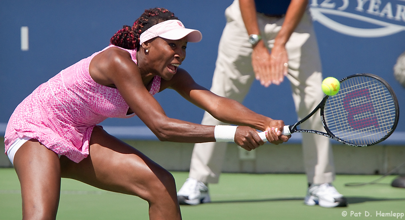 Venus Williams, 2013 