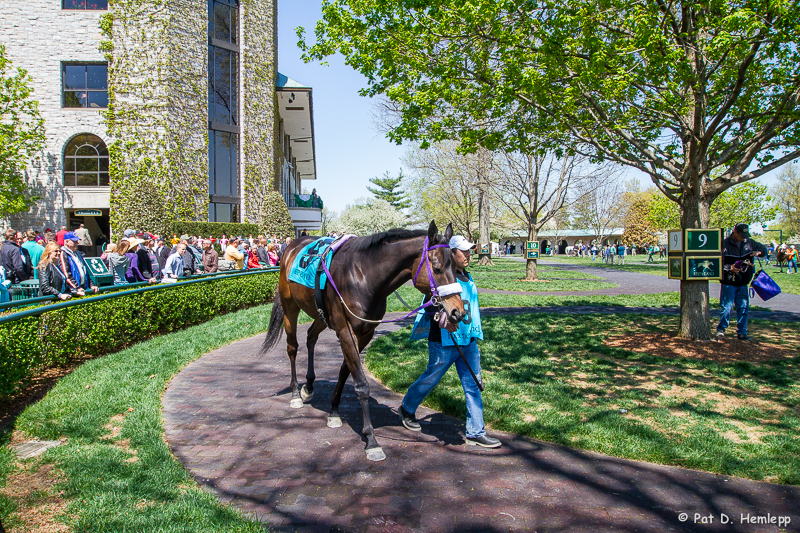 Pre-race walk