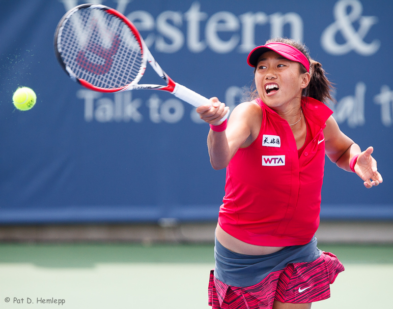Shuai Zhang, 2014