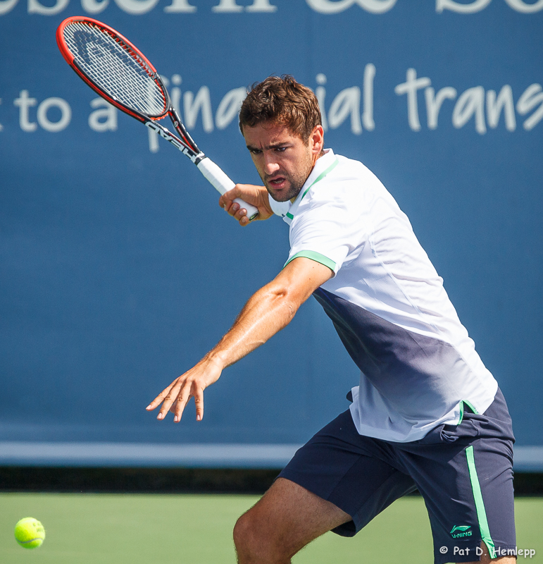Marin Cilic, 2014