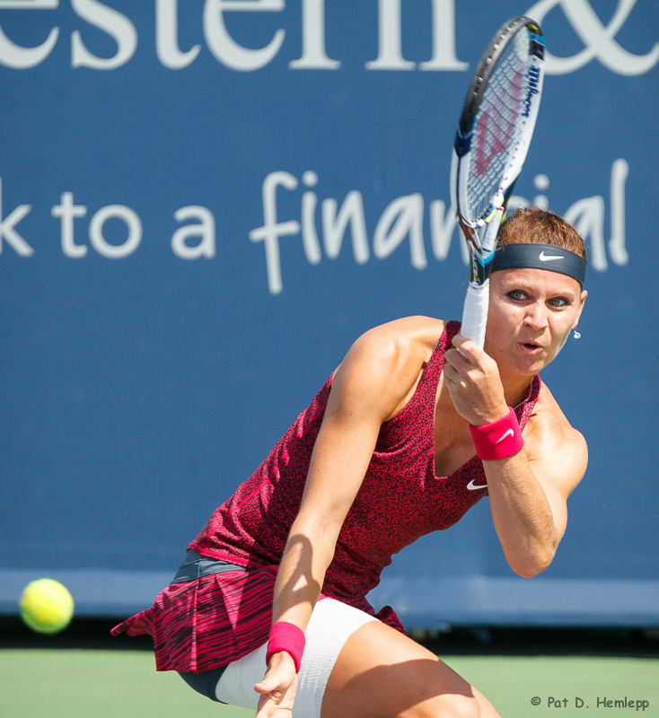 Lucie Safarova, 2014