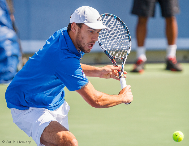 Jerzy Janowicz, 2014