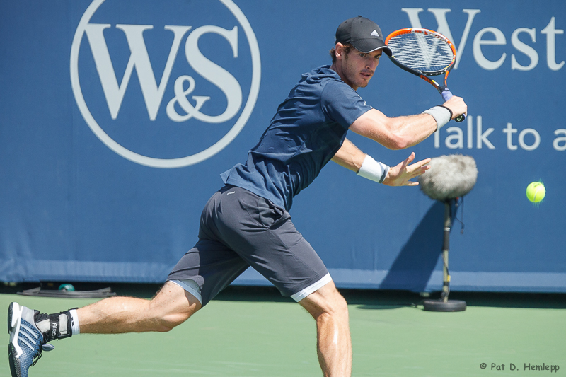 Andy Murray, 2014