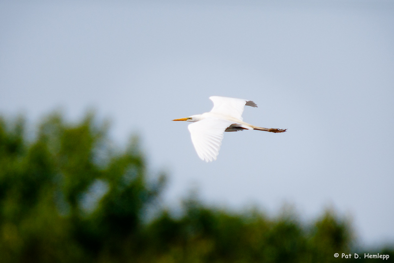 In flight