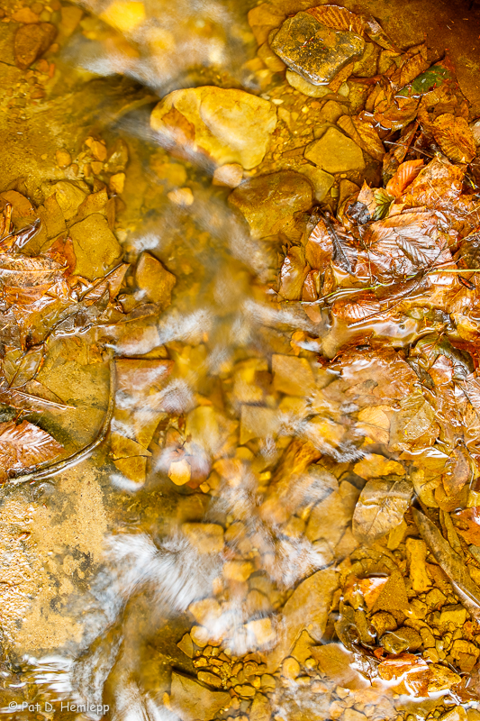 Rocks in a stream