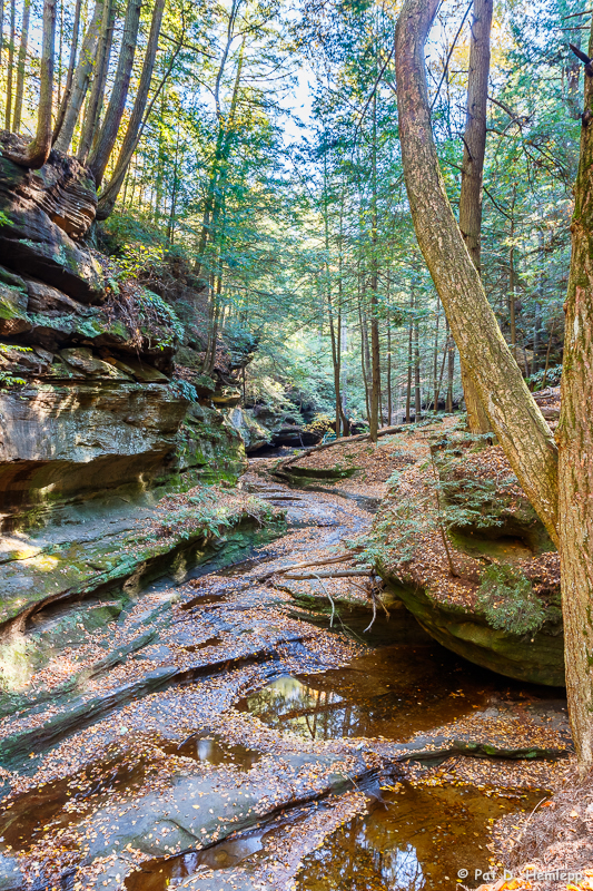 Creek bed