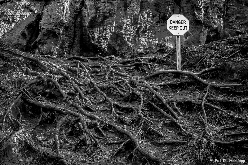 Roots and warning