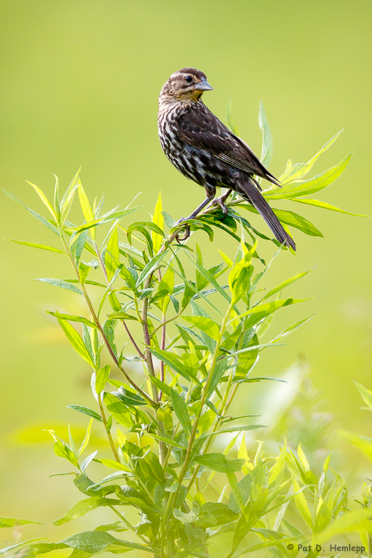 Standing out