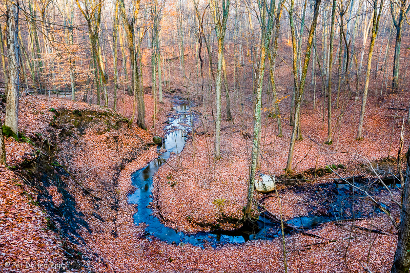 Winding waters