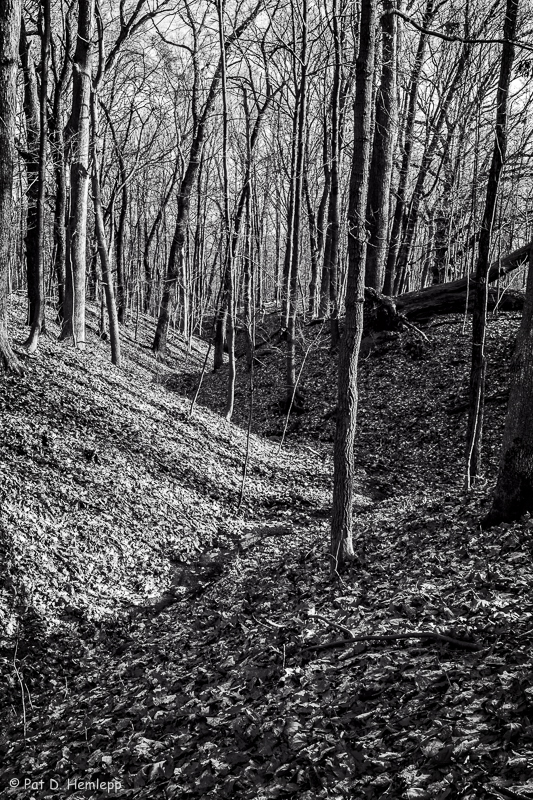 Winding valley