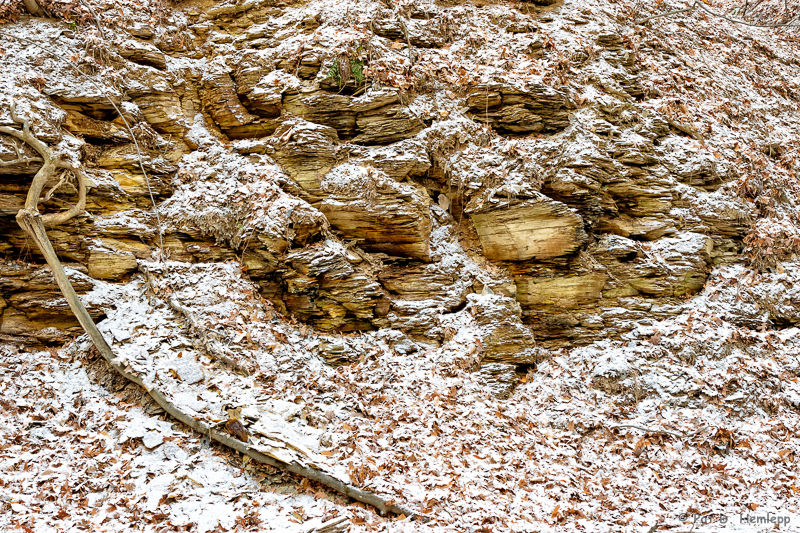Exposed rocks