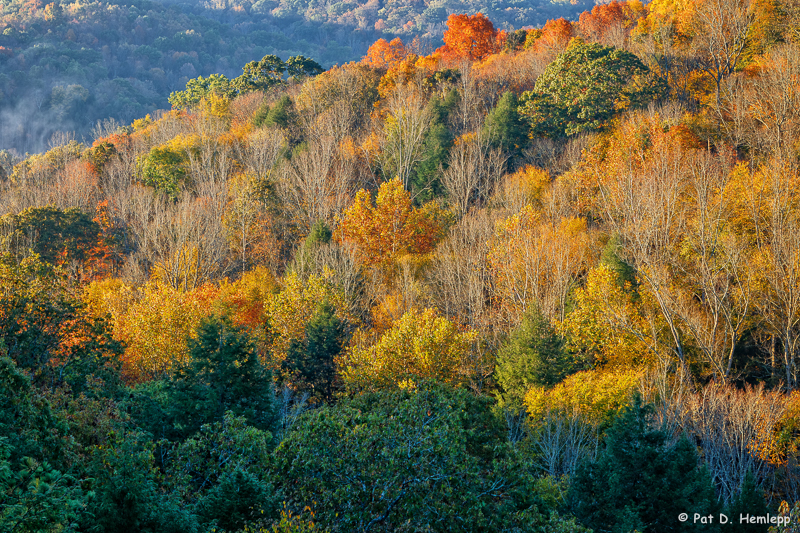 Touch of autumn