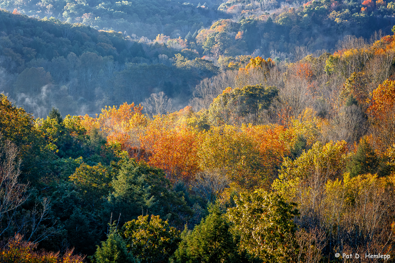 Spots of color