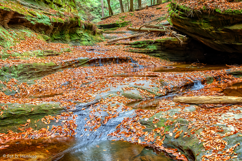 Autumn scene