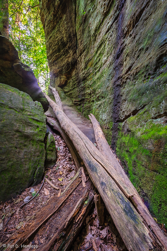Log in crevice