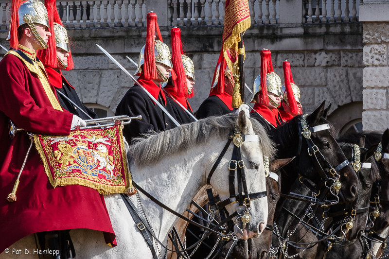 Mounting of the guard