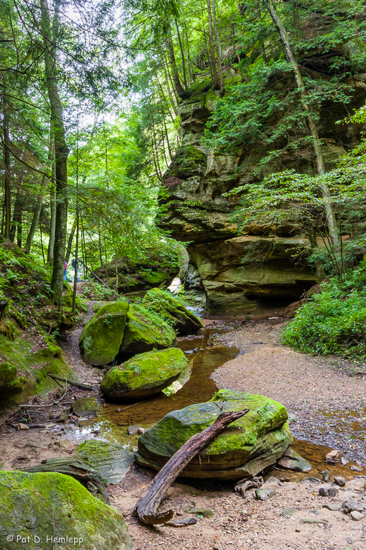 Lining the creek bed