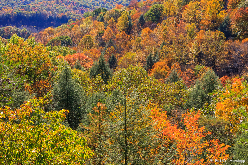 Fall, Hocking Hills, 2007